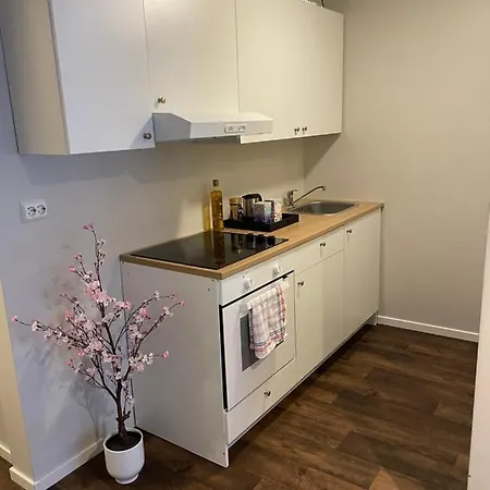 アパート Central Studio Apartment *