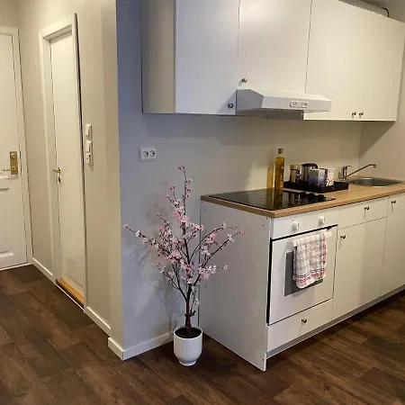 Central Studio Apartment アパート