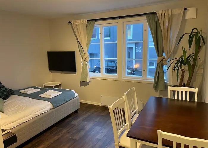 Appartement Central Studio Apartment