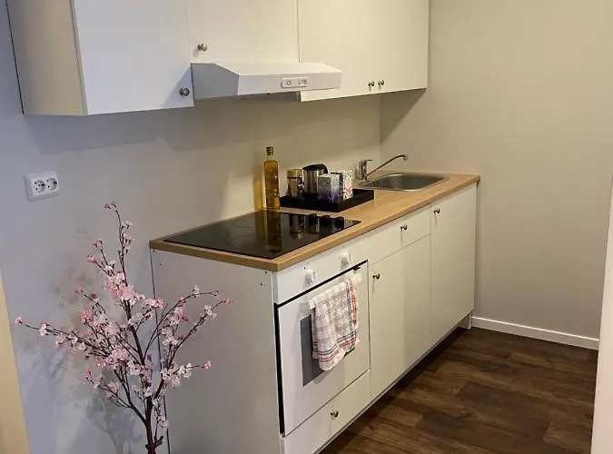 דירה Central Studio Apartment *