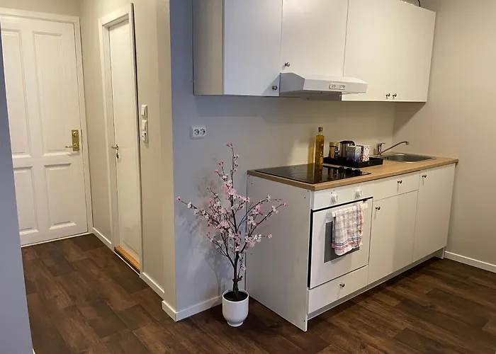 Central Studio Apartment דירה